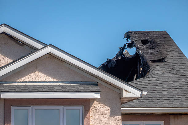 Top rated local Fire Damage Removal specialists in Queen Creek, AZ